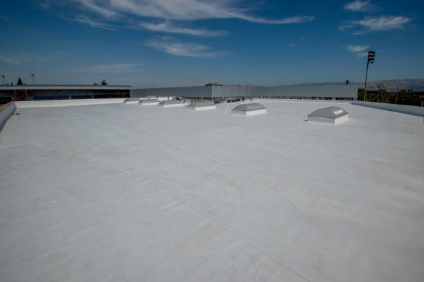 Best Roof Coating and Sealing  in Northford, CT